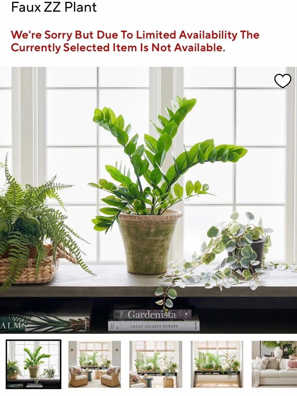 Pottery Barn Faux Potted ZZ Plant, Green, 24”H, NEW